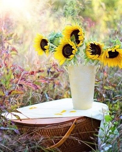 Ivan Waterloos Ivan Waterloos