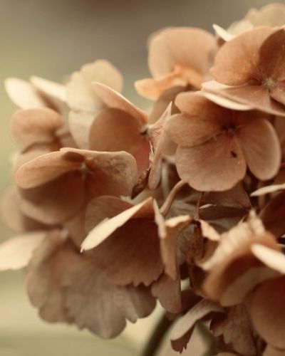 Luc Mattelaer Luc Mattelaer